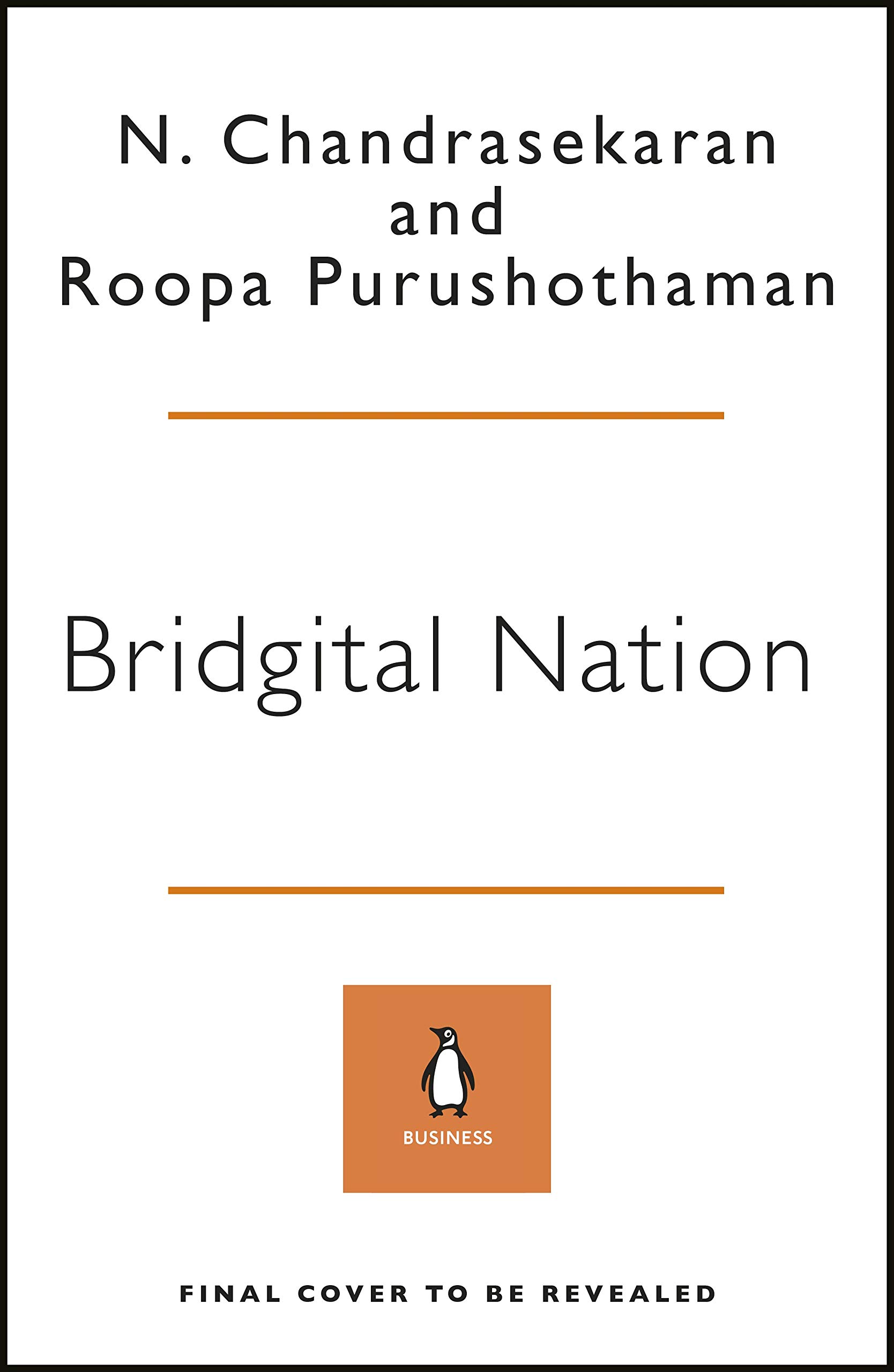 Buy Bridgital Nation Solving Technology S People Problem Book