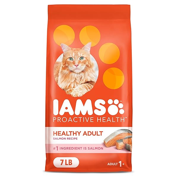 IAMS PROACTIVE HEALTH ADULT HEALTHY DRY CAT FOOD...