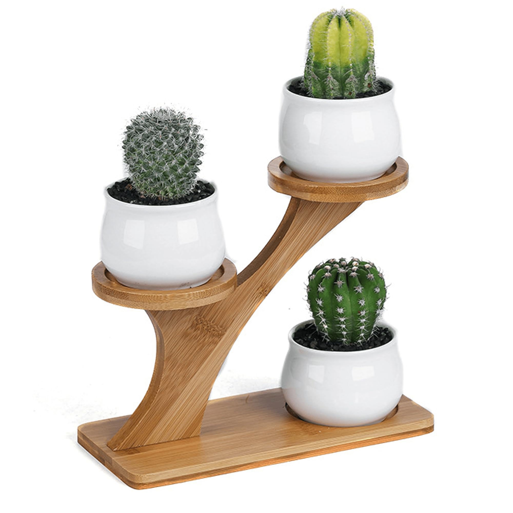 Simcat 3pcs Ceramics Succulent Pots with 3 Tier Bamboo Saucers Stand Holder,Ceramic Flower Planter Pot with Drainage, Mini Cactus Plant Pot for Home Garden Decoration,Plants Not Included (Style one)