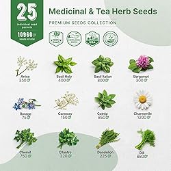 Organo Republic 25 Medicinal & Tea Herb Seeds