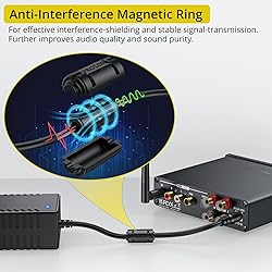 PROZOR 192kHz/24bit Digital Stereo Audio