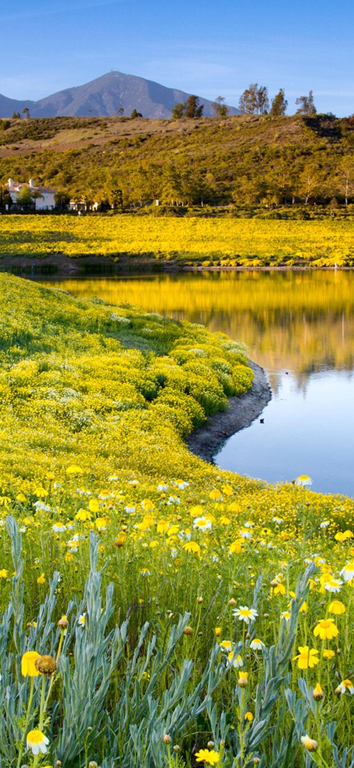 PeelitStickit, Beautiful Nature Wall Murals, ID-3280, vinyl