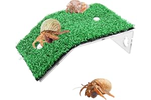 OOOCT Hermit Crab Ramp Toys, Simulation Grass Hermit Crab Ramp Climbing Ladder for Aquarium, Hermit Crab Supplies, Hermit Crab Cage Accessories with Climbing Ramp for Small or Medium Hermit Crab Habitat