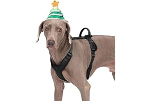 Abuandi Dog Harness with Security Lock Buckle for Small Medium Large Dogs, Adjustable Dog Cooling Vest, Reflective No Pull No Choke Harness for Trail Running, Walking, Hiking, Camping