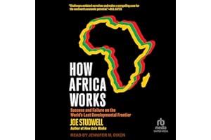 How Africa Works: Success and Failure on the World's Last Developmental Frontier