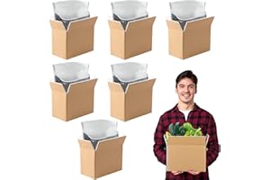 QLOUNI 6 Pack Thermo Chill Double Insulated Shipping Box with Aluminum Foil Insulated Bag Liner, Reusable Hot & Frozen Food Delivery Insulated Carton for Shipping, Mailing, Packing, Moving, 8x4x5 Inch
