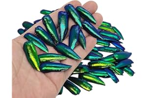 WitnyStore Jewel Beetle Wings Emerald Green 100 Pieces Set Metallic Beetles Wing Covers Real Elytra Elytron Genuine Durable Sternocera aequisignata Shards Jewellery Dressmaking Mask Mozaics Embroidery