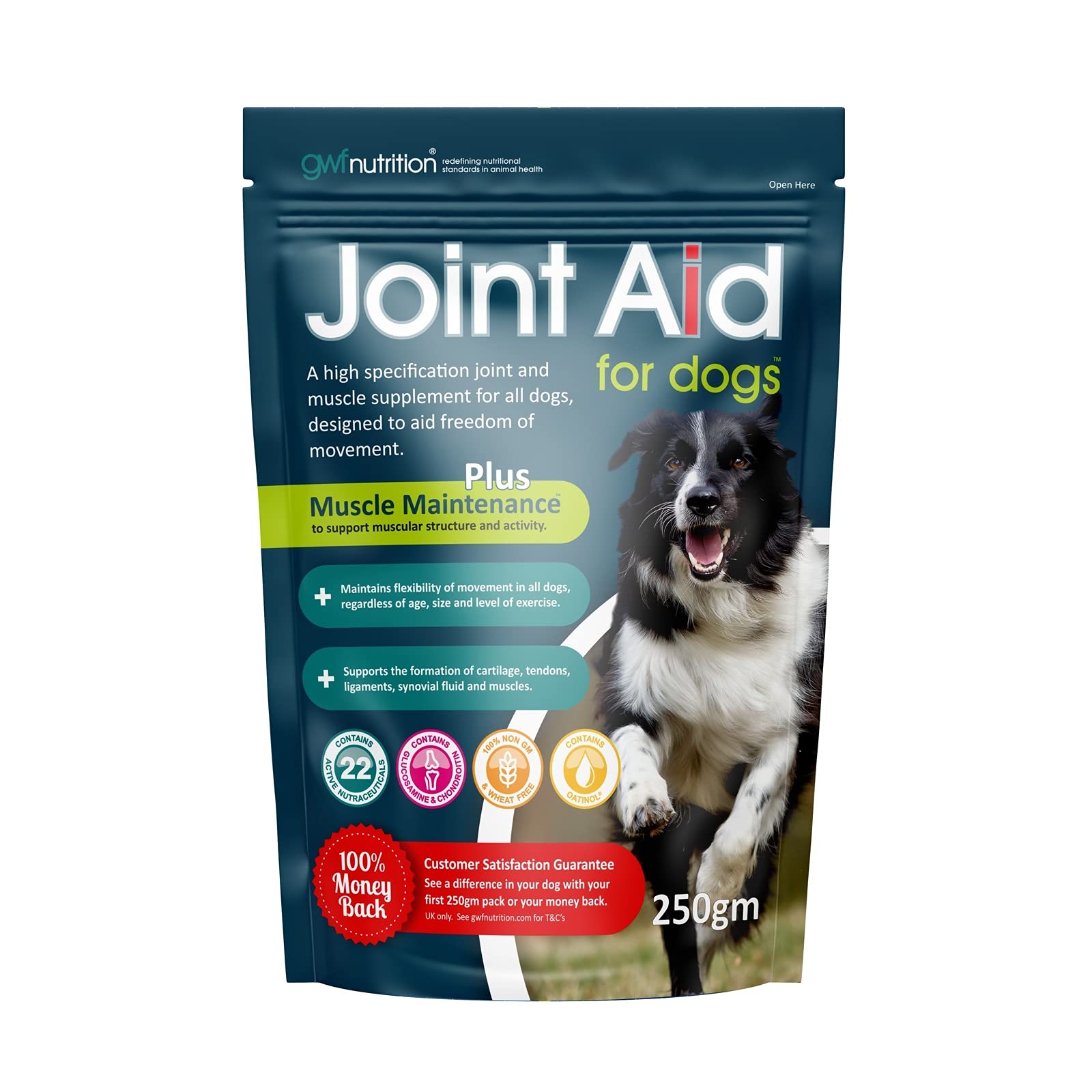 GWF Nutrition Joint Aid For Dogs - Essential Hip & Joint Supplement with Muscle Maintenance for Dogs of All Ages - 250 gm