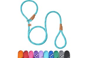 Petarea 5 FT Slip Lead Dog Leash, Heavy Duty Rope Leash for Small Medium Large Dogs, No Pull Training Lead with Reflective Thread, Strong Comfortable Loop Leash (Teal Stripe, Large(1/2"))