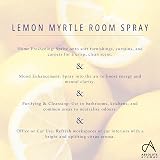 Absolute Aromas Natural Lemon Myrtle Room Spray 100ml – Pure Essential Oil view 4