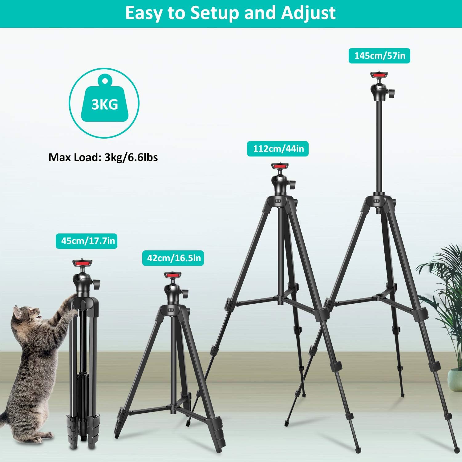 57”Tripod, Portable Lightweigh Travel Phone Tripod for Live Streaming Vlog Video, with Phone Clip, Remote Shutter, Backpack, Maximum Load 3KG, 1/4" Mounting Screw, TAIROAD T50 : Camera & Photo