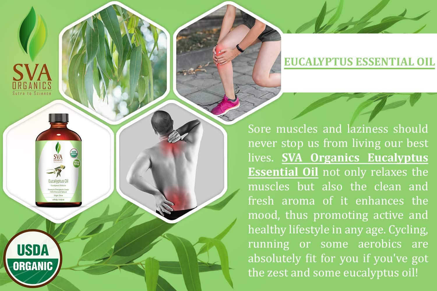 SVA Organics Eucalyptus Essential Oil Organic 4 Oz USDA with Dropper 100% Pure Natural Undiluted Premium Therapeutic Grade Oil for Diffuser, Aromatherapy, Face, Body & Hair Care: Beauty