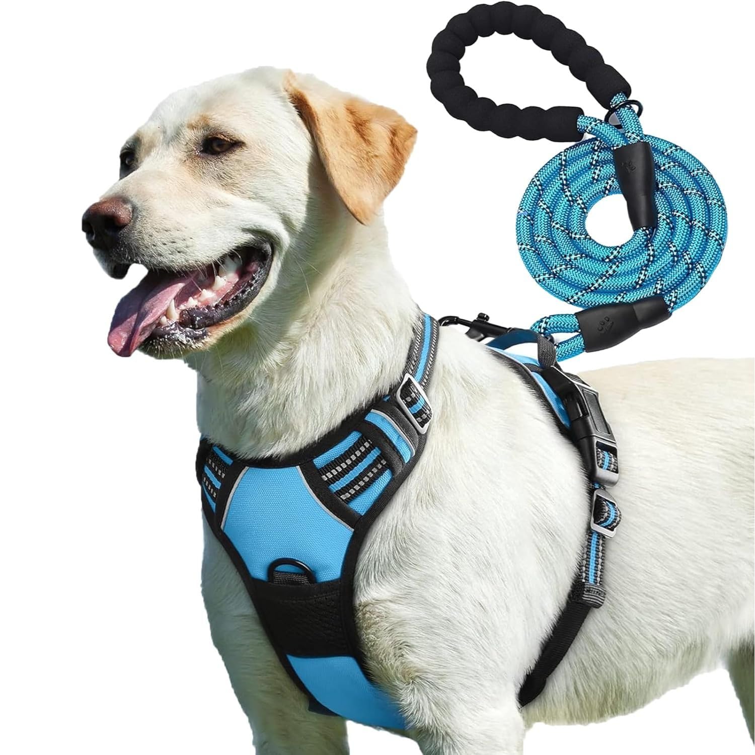 PetBuds Adjustable No Pull Dog Harness with Free 5ft Leash, Breathable and Durable for All Breeds (Blue, Medium)