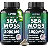 Sea Moss Capsules - Irish Sea Moss Advanced with Burdock Root, Bladderwrack & Muira Puama for Immunity, Gut, & Energy - Superfood Sea Moss Supplements w/Raw Sea Moss Powder (2 Pack)