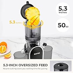 SUSTEAS Cold Press Juicer, 300W, 5.3" Large Feed