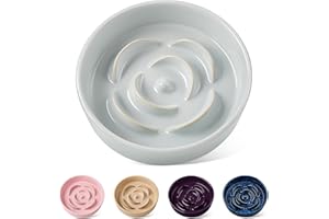 vancasso Slow Feeder Dog Bowl, 0.6 Cups Ceramic Dog Food Dish for Fast Eaters Small Breed, Puzzle Bowl for Small Dogs and Cats, Grayish Cyan