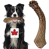 Deer Antler Dog Chew Toy - Deer Antlers for Dogs - Large Whole (6-9 Inches) Canadian Antler Dog Chew - Long Lasting - Natural