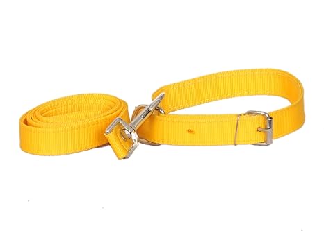 PET CLUB51 Nylon Dog Collar and Leash (Yellow, Medium)