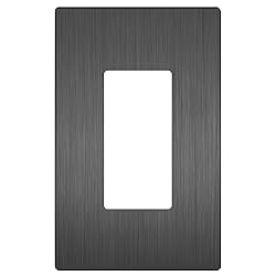 LIDER Brushed Finish Decorator Switch