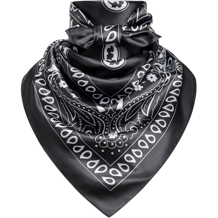 Foulard Coulissant Hansen Western Gear - Style Cowboy Concho Argent - Accessoire Western