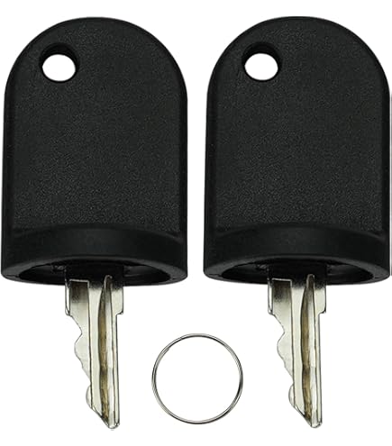 Amazon.com: Holdia 2PCS Ignition Switch Keys Compatible with