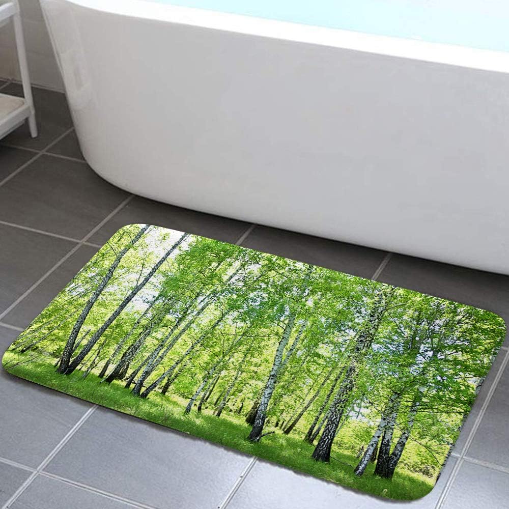 Woodland Bath Rugs for Bathroom, Nature Summertime Wildlife