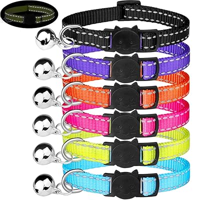 reflective breakaway dog collar