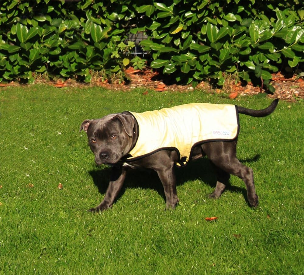 dog health food store