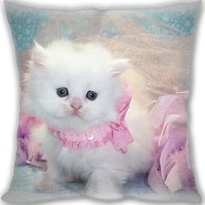 Amazon.com: Lidoy Pretty Miss Kitty Cat Custom Throw ...
