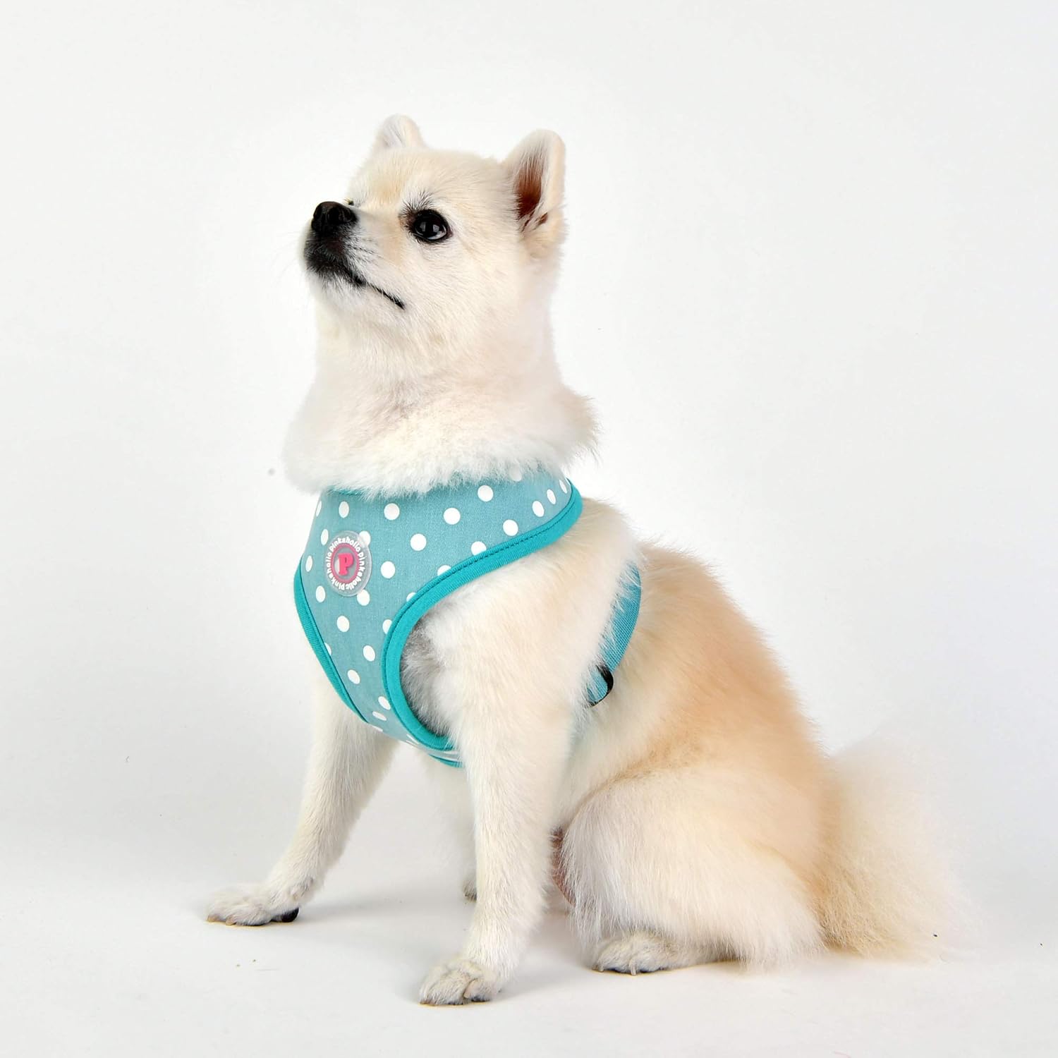 Pinkaholic NAUA-HA7624-MT-L Ida Harness Dog Harness L Mint - Image 4