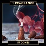 Fumino Coco Cinnamon Incense Cones 15 Pack for Relaxation & Meditation view 2