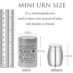 DAIFFUNE Small Urns for Ashes - Set of 2，2.7 Inch