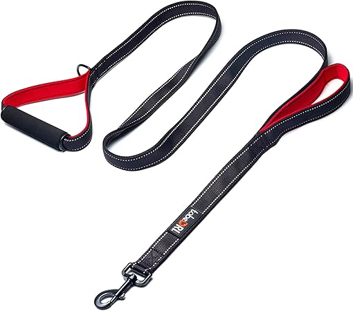 leash amazon