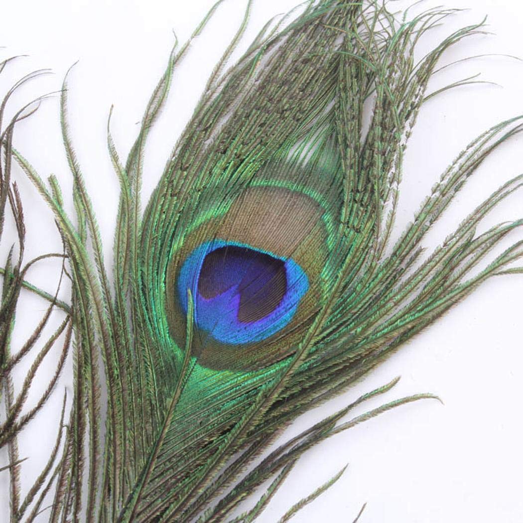Blueis 10Pcs Natural Peacock Feathers for Crafts, Peacock Feathers in Bulk, Peacock Tail Feathers for Decor (Length:25~30cm) Feathers & Boas