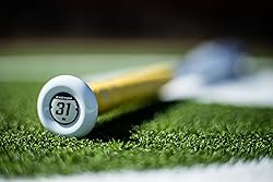 Easton | AMETHYST Fastpitch Softball Bat | -11