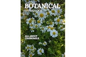 All About Chamomile