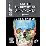 Netter. Flashcards de anatomía. Miembros (6ª ed.) : J. T. Hansen ...