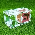 Small Ant Nest Farm Science Experiment Formicarium Insect Nest (red)