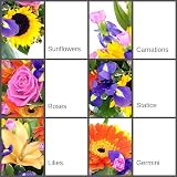 Clare Florist Fantastic Summer Memories Fresh Flowers Bouquet Lilies Roses view 5