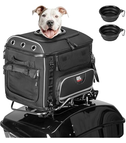 Amazon.com: Saddlemen Motorcycle Pet Voyager Rear Bag Black Amazon.com: Saddlemen Motorcycle Pet Voyager Rear Bag Black