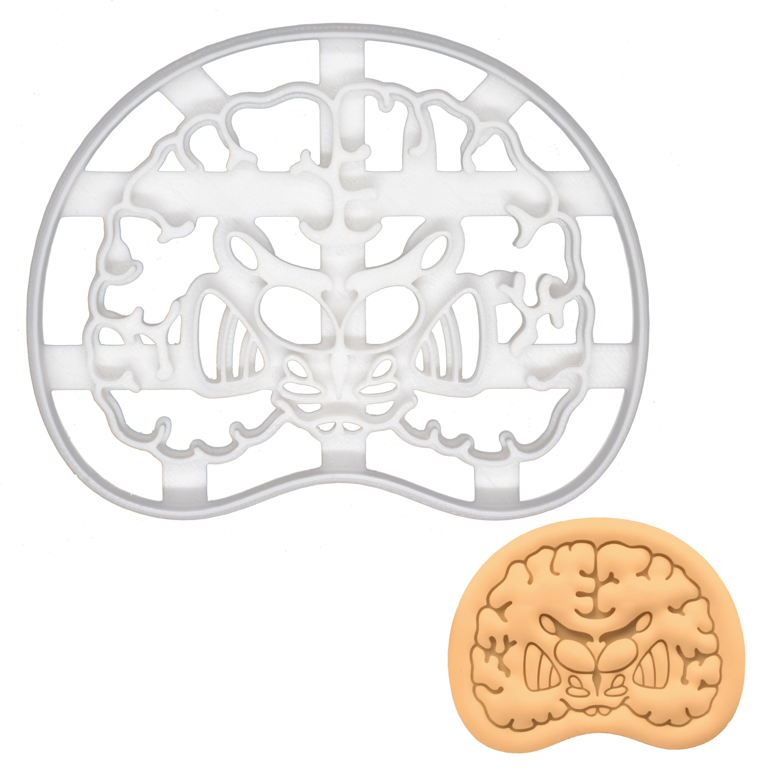 BAKERLOGY Brain Coronal Section Cookie Cutter - Detailed Biscuit Cutter Design for Baking and Crafts, Ideal on Fondant, Dough, Clay