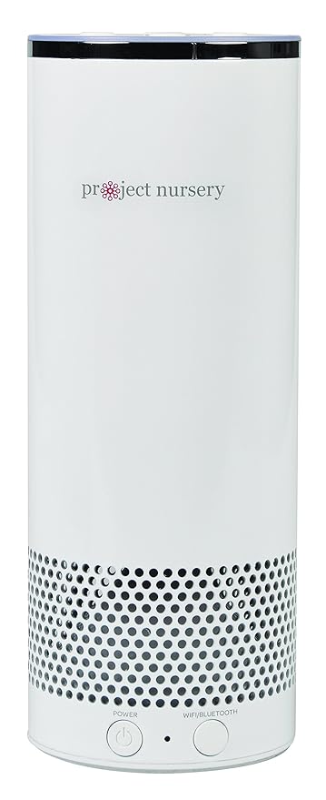 alexa enabled outdoor speaker