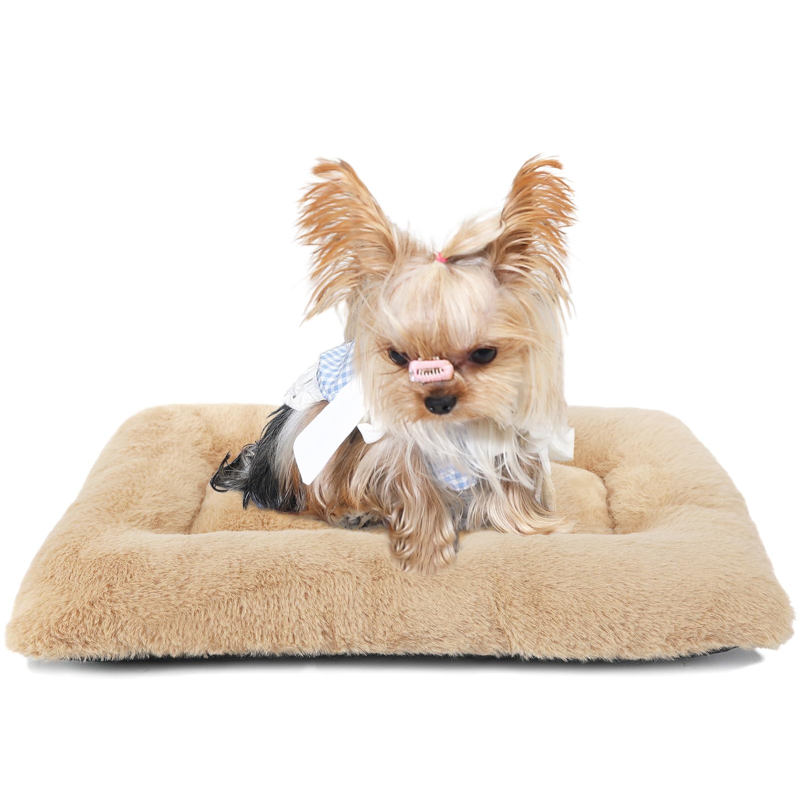 Photo 1 of Dog Crate Bed 18 Inch Washable Dog Beds for XX-Small Dogs Deluxe Thick Soft Fluffy Comfy Kennel Pad Anti-Slip Indoor Pet Sleeping Mat for Extra Small Puppy Breeds,18" x 12",Light Brown