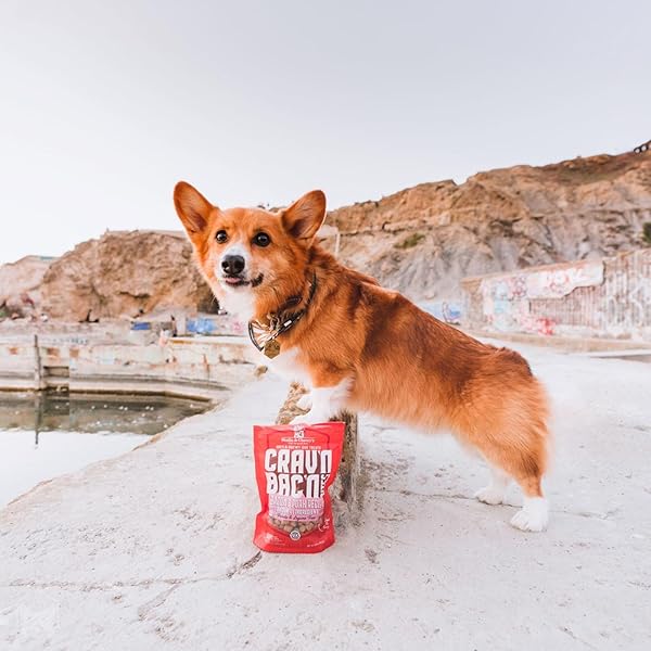 STELLA & CHEWY’S TRAINING DOG TREATS – CRAV’N BAC’N SOFT BACON & PORK BITES – PREMIUM USA MADE – LOW CALORIE REWARDS – 8.25OZ