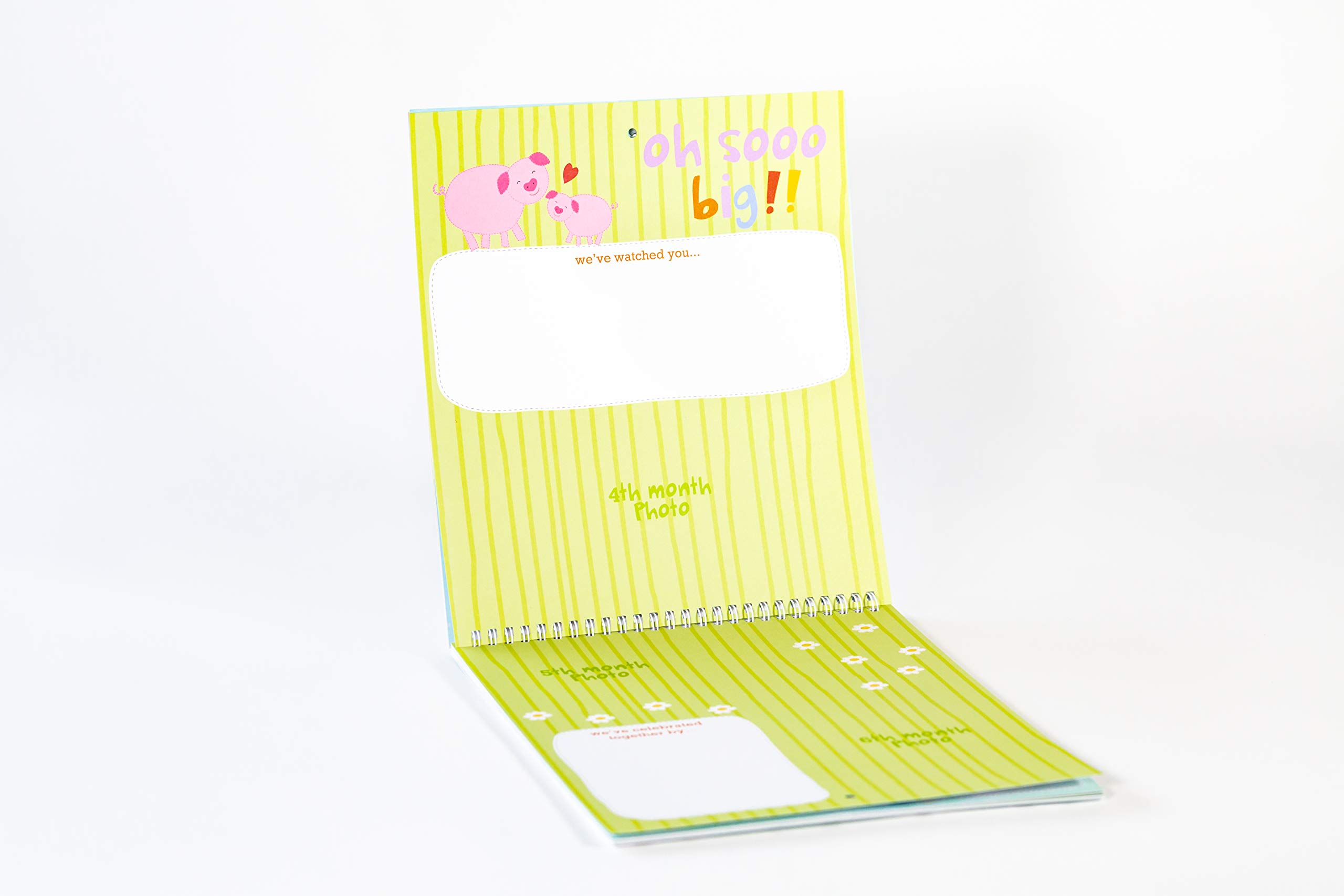 Baby's First Year: A Welcome Little One Keepsake, Memories Journal and Undated Monthly Calendar to Hang & Display (baby shower gifts for new parents) (Welcome Little One Baby Gift Collection)