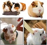 ERKOON Rabbit Chew Toys 10 Types Natural Small Animal Treats Enrichment view 5