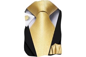 Dubulle Mens Paisley Floral Silk Tie for Men Striped Necktie and Pocket Square Cufflinks Set Wedding Business