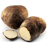 Fresh Yam - Costa Rican, Not Sweet Potato, 2 Pounds Tubẹr, White Soft Yam, ROOT VEGETABLE