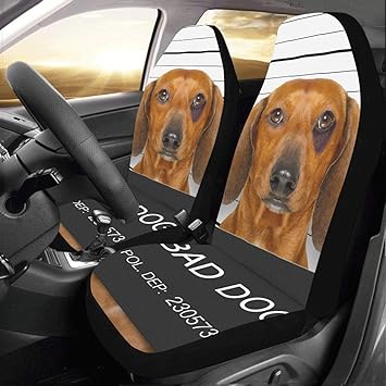 dachshund seat