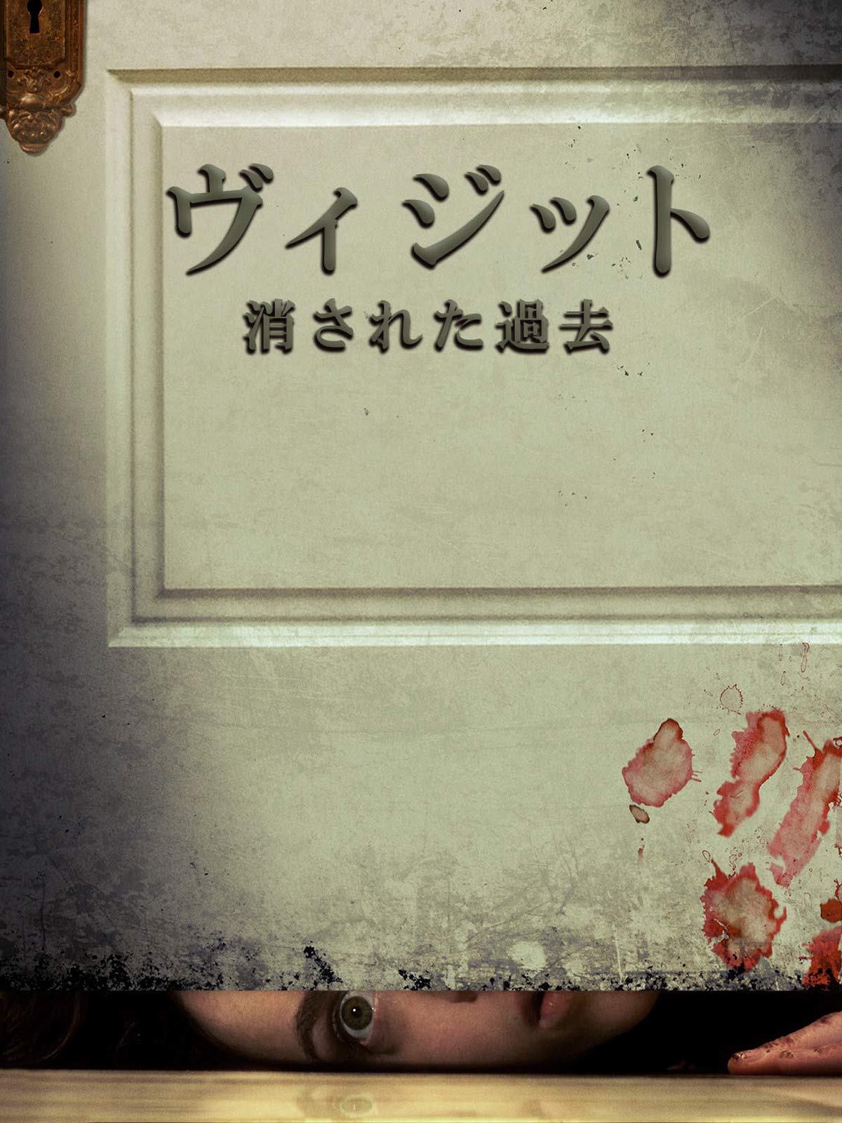 Amazon Co Jp ヴィジット 消された過去 字幕版 を観る Prime Video